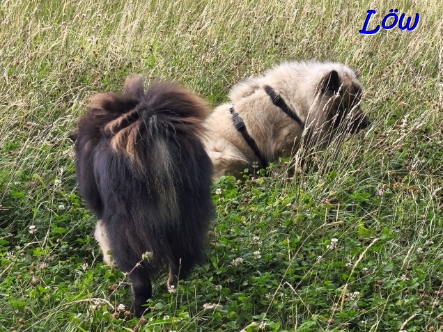 14.7.2025 - Spurensuche